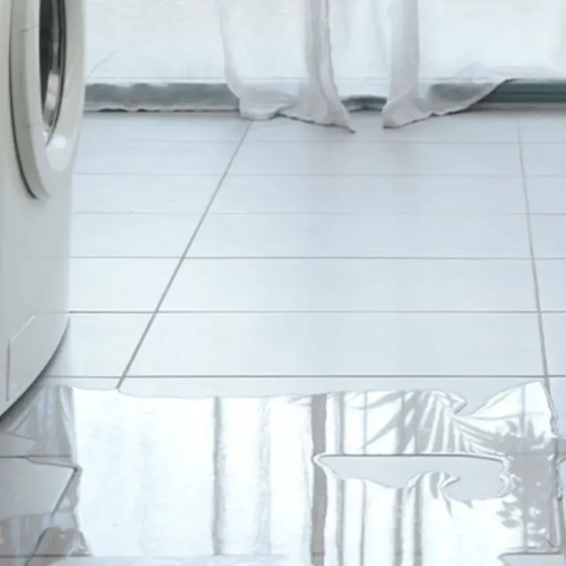 Appliance Leak Cleanup in Granite City, IL