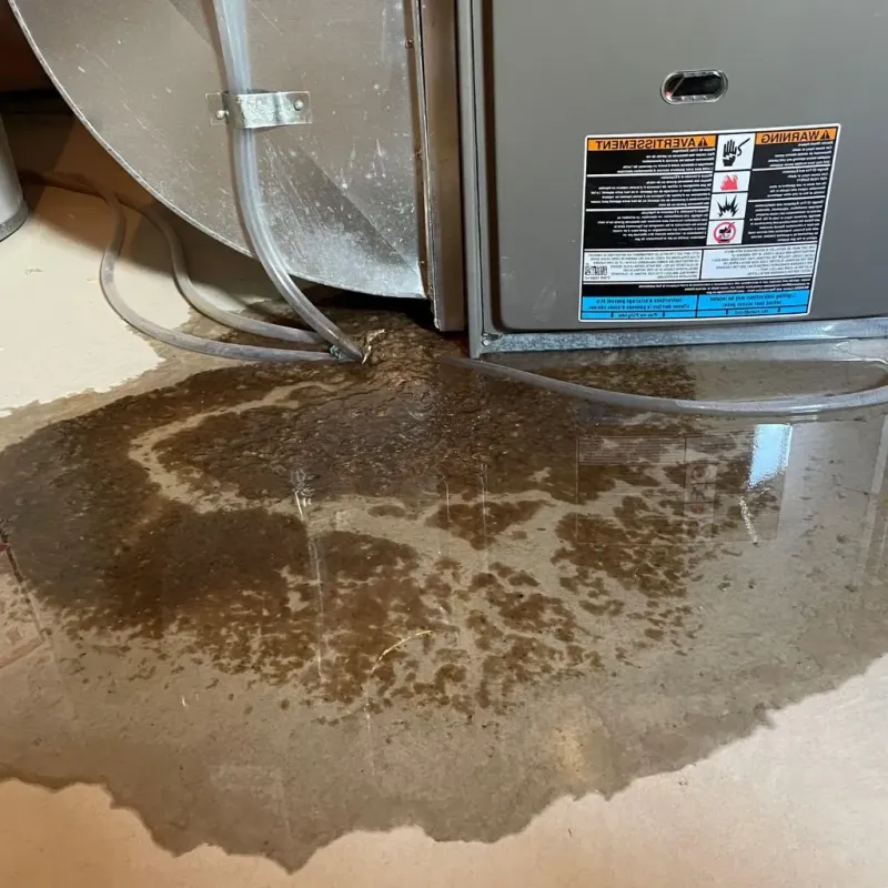 Pipe Burst and Leak Restoration in Granite City, IL