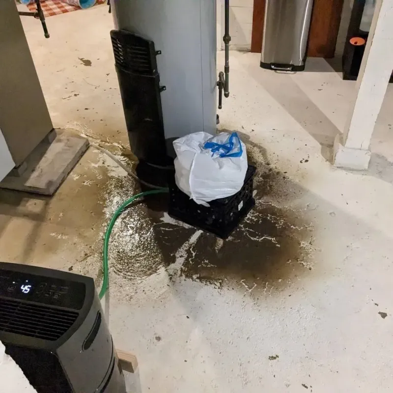 Sewage Backup Cleanup Service in Granite City, IL